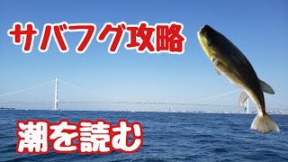 『 サバフグの現状と対策　潮の動きを把握する事で対策できる！？』今、全国各地で猛威を振るっている黒サバフグについて最新の現状と対策をご紹介します。