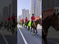 大连城市风景线 威武女骑警 4k 警察 police