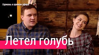 Очень красивая песня Летел голубь – Ансамбль ПТАШИЦА | Под гитару