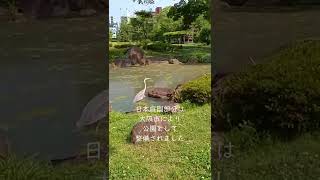 初夏の日本庭園【藤田邸跡公園】大阪市