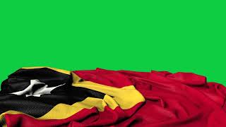 🚩East Timor Flag Laying Flat | GREEN SCREEN & CHROMA MATTE🚩