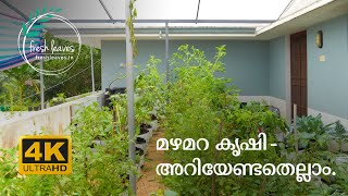 All about Rain Shelter Farming ||  Mazhamara Krishi || മഴമറ കൃഷി - അറിയേണ്ടതെല്ലാം