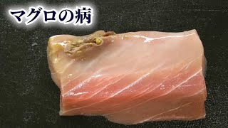 【閲覧注意】食べられる？病気にかかったマグロ【切ってみた】