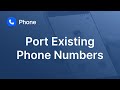 Port Existing Phone Numbers
