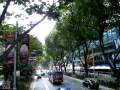 Shopping Malls along Orchard Road