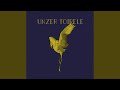Unzer Toirele