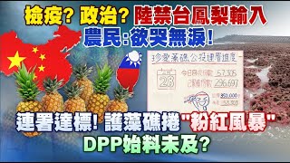 《庶民大頭家》完整版 檢疫？政治？陸禁台鳳梨輸入　農民：欲哭無淚！20210301