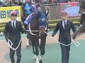 【ハッピースプリント】パドック｜第32回 フェブラリーステークス（gⅠ）｜東京競馬場