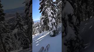 90 Seconds of Backcountry Powder Skiing | GoPro POV | East Shore Lake Tahoe