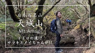 【日本百名山チャレンジ】〜天城山〜初心者も楽しめるハイキングコース♪