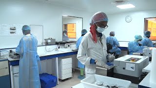 Vaccine Research in Africa | Combating the Crisis Together