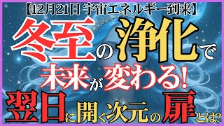 【12月21日】冬至が開く「浄化と再生」の扉。新時代へ続く前夜の秘密とは？