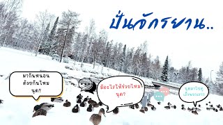 ปั่นจักรยานเจอกลุ่มเป็ดบนหิมะ😱🔥🦆#ฟินแลนด์ #วิถีไบค์เกอร์