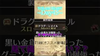 【Toram Online】トーラム日記【Day45】