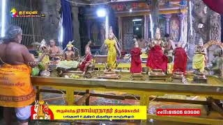 ஸ்ரீ ஏகாம்பரநாதர் கோயில் பங்குனி உற்சவம் திருவிழா காஞ்சிபுரம்