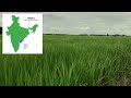 டெல்டா பகுதி என்றால் என்ன what is the delta region delta agriculture river டெல்டா கழிமுகம்