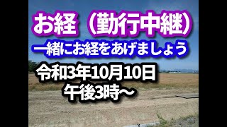 お経（勤行）ライブ配信　ご一緒にお経をあげましょう（※肆誓偈《重誓偈》から、往生礼讃を中心として）。お経の後は、少しの法話と終活相談もいたします。