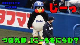 つば九郎　Iこーちをにらみつける？？いつかかならず...　2022/5/12 vs中日ドラゴンズ