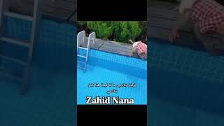 پستولی نے اج بطخ کو نہلا دیا #zahidnana #pastoli #monkey #animals #funny #youtubeshorts #trending