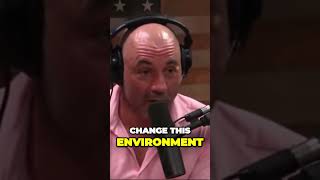 The Unstoppable Evolution of Humanity by Joe Rogan Experience