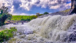 Unnichchai Tank, Sri Lanka |உன்னிச்சைக் குளம்| மட்டக்களப்பு | #srilanka