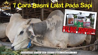 7 Cara Basmi Lalat Pada Sapi Paling AMPUHH !! - Star Farm School