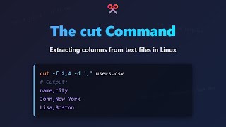 Linux cut Command: Extracting Text Like a Pro! (Beginner Tutorial)