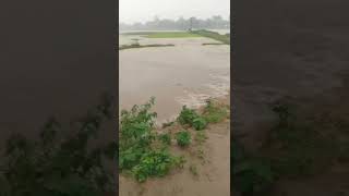 Water#in tezpur Assam#short #video Assam India Water 🌊 Today😭😭😭😭😭😭