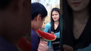 แตงโมน้องลูกใหญ่ เนื้อแดงแดง #Shorts My Watermelon is Large // noj dib liab liab loj loj