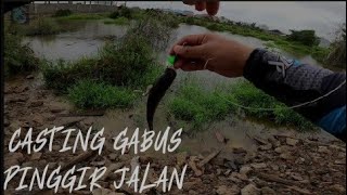 CASTING GABUS PINGGIR JALAN