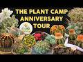 Discover Unique Cacti, Succulents, and Euphorbias at The Plant Camp 1st Anniversary Tour
