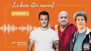 Épisode 5 - Et si on arrêtait de faire souffrir les animaux ?