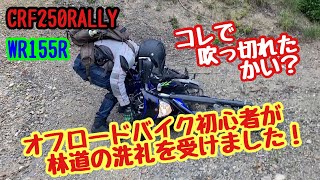 【CRF250RALLY】オフロードバイク初心者が林道の洗礼を受けました！  コレで吹っ切れたかい？