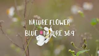natural beauty ❤️❤️❤️#background song hindi wafa na raas aayee-jubin nautiyal 🙂 what's app status