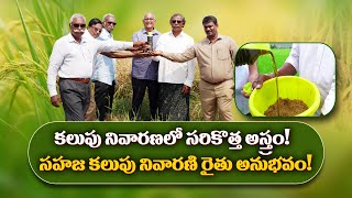 E02 | వరిలో కలుపు నివారణకి సహజ పరిష్కారం | Weed Control in Paddy | Herbal Weedicide | @GramaBazaar