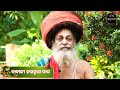 sadhu bani ep 8 08 july 2021 kathaamrut ବିଧବା କଥାମୃତ bidhaba sadhubani babaji jaganath das