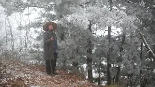 终南山的冬天有多美？跟我一起看看终南山的冬天