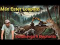 Man Eater Leopard Operation & Preparations । Bandhavgarh Elephants Death