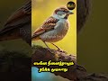 எமனே நினைத்தாலும் தடுக்க முடியாது l இயல் கதைக்களம் l eyal kathaikalam l story time l tamil book show