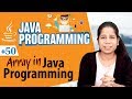 Array in Java  - Arrays in Java Programming Language - Java Programing Tutorial