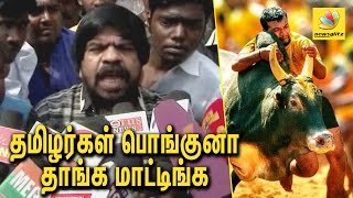 தமிழர்கள் பொங்கினா தாங்க மாட்டிங்க | T Rajendar angry speech about Jallikattu Ban