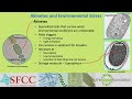 lecture 10 cyanobacteria i 230530 complete