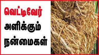 Vetiver Water | வெட்டிவேர் தண்ணீர்