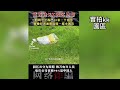 本台記者冒險實拍kk園區， kk園區2期 3期 還在施工建設中 看清跨境詐騙驚悚內幕 reaction video