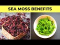 Sea Moss: 7 Benefits You Didn't Know About