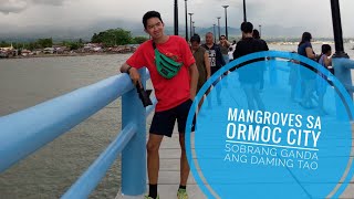 mangrove eco park sa brgy.naungan Ormoc City Amazing views talaga #tourism #travel #vlog