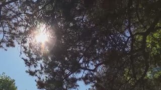 Interactive map charts heat vulnerability across Multnomah County