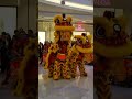 wen yang lion dance troupe ion orchard 31 jan 2025