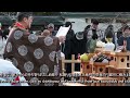 the new year s in kamakura　～古都鎌倉の冬景色と伝統～　