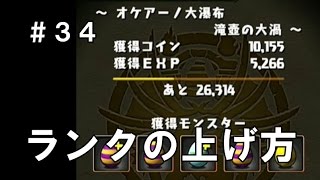 【パズドラ】[実況] 無課金 レアガチャ無し 廃課金者のパズドラ実況 #34 ランクの上げ方